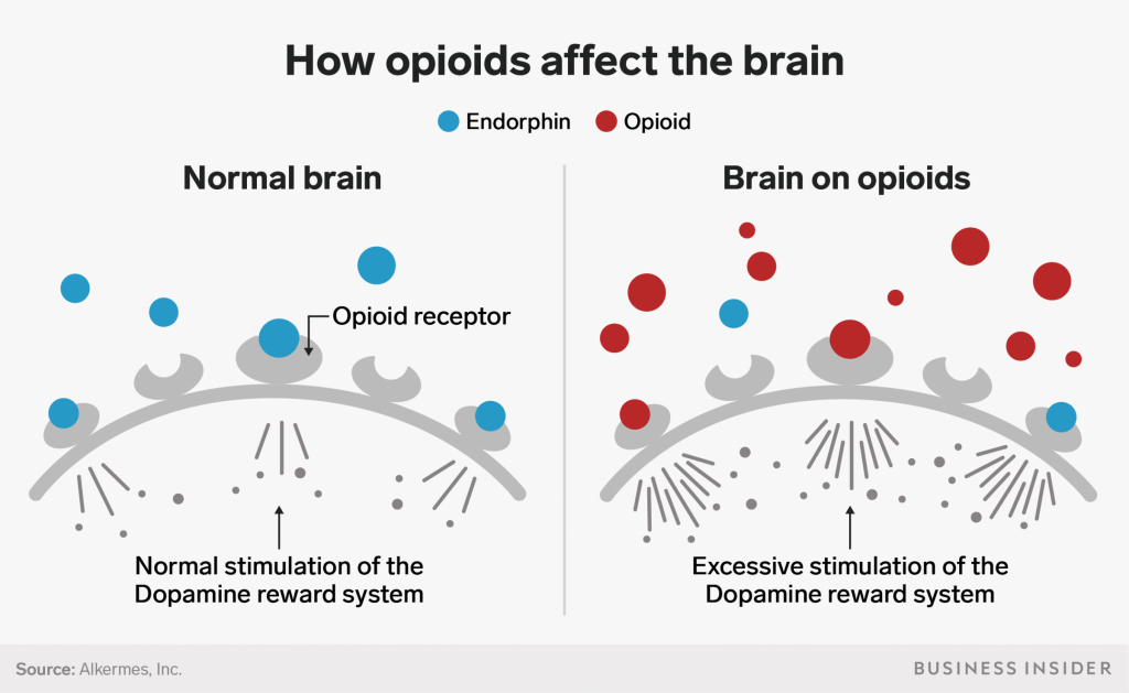 What Are Opiates and How Do They Relate to Endorphins?